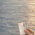 Haut- & Zellschutz Liposomales Glutathion + Vitamin C | Orlique